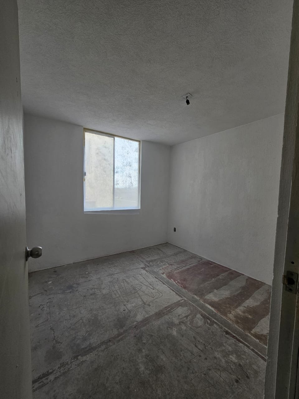 WhatsApp Image 2026-01-29 at 13.46.26 (6)