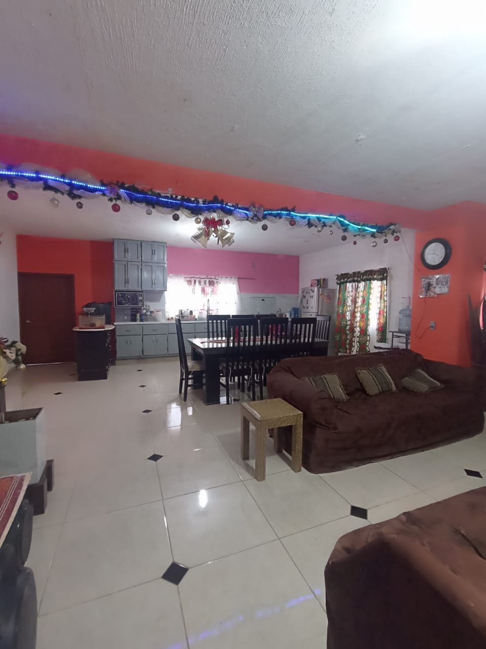 WhatsApp Image 2025-12-11 at 16.51.12