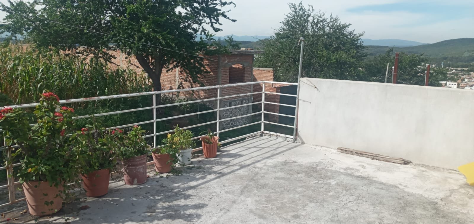 WhatsApp Image 2025-12-23 at 16.12.45